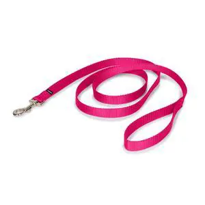Nylon Dog Leash - Strong, Durable, Traditional Style Leash with Easy to Use Bolt Snap - 3/4 in. x 6 ft., Raspberry Pink Nylon Dog Leash - Strong, Durable, Traditional Style Leash with Easy to Use Bolt Snap - 3/4 in. x 6 ft., Raspberry Pink