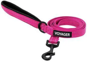 Voyager Nylon Dog Leash - Fuchsia, Small Voyager Nylon Dog Leash - Fuchsia, Small