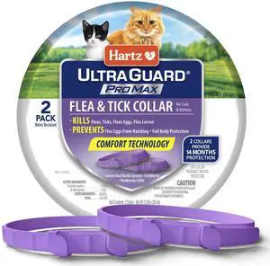 UltraGuard ProMax Flea & Tick Collar for Cats & Kittens I 14 Months Protection I Soft & Comfortable | Kills Fleas, Ticks, and Larvae I 2 Pack UltraGuard ProMax Flea & Tick Collar for Cats & Kittens I 14 Months Protection I Soft & Comfortable | Kills Fleas, Ticks, and Larvae I 2 Pack