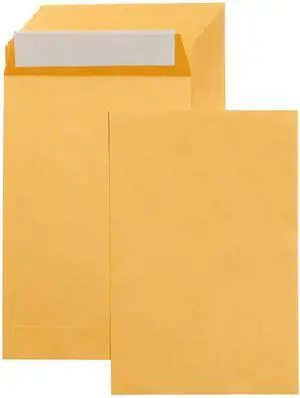 Self Seal Catalog Envelopes for Business Mailing, Peel and Seal, 6" x 9", Brown Kraft, 100-Pack Self Seal Catalog Envelopes for Business Mailing, Peel and Seal, 6" x 9", Brown Kraft, 100-Pack