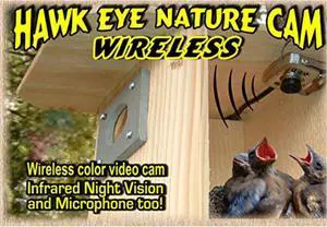 Birdhouse Spy Cam BCAMHEW Hawk-Eye Wireless Spy Camera (Set of 1) Birdhouse Spy Cam BCAMHEW Hawk-Eye Wireless Spy Camera (Set of 1)