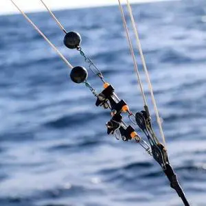 Tigress 88605, Ultimate Rigging Kit for Big Game Kite Fishing Such as Shark, Wahoo, Mahi Mahi, Tuna or Sailfish Tigress 88605, Ultimate Rigging Kit for Big Game Kite Fishing Such as Shark, Wahoo, Mahi Mahi, Tuna or Sailfish