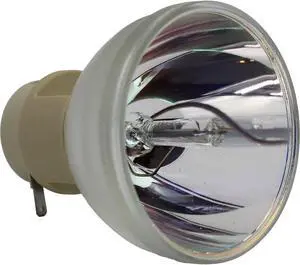 E20.9n 240W 0.8 AC Bare Projector Lamp - 55070 - 1 Year Warranty E20.9n 240W 0.8 AC Bare Projector Lamp - 55070 - 1 Year Warranty