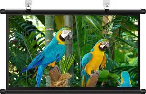 Manual Pull Down Projection Screen 30" 40" 50" 60" 72" Wall Mounted Projector Screen 4K HD Movie Screen for Home Office Outdoor Indoor Anti Crease Easy Roll Up(30 Inch (16:9)) Manual Pull Down Projection Screen 30" 40" 50" 60" 72" Wall Mounted Projector Screen 4K HD Movie Screen for Home Office Outdoor Indoor Anti Crease Easy Roll Up(30 Inch (16:9))