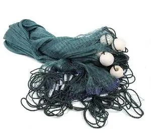 Heavy-duty Polyethylene Fishing Net with Floats ~10'x65'/6.5'x33' Fishing Cast Monofilament Net Beach Seine Net ~ Green Heavy-duty Polyethylene Fishing Net with Floats ~10'x65'/6.5'x33' Fishing Cast Monofilament Net Beach Seine Net ~ Green
