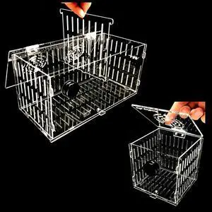 Magnetic Acclimation Box Large / 16x6x8 Magnetic Acclimation Box Large / 16x6x8