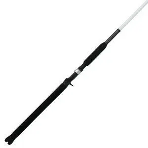 Catfish Special Spinning Fishing Rod Catfish Special Spinning Fishing Rod