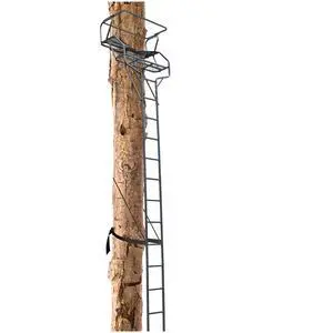 2 Person Ladder Stand, 18 Foot Deer Hunting Ladder Climbing Tree | Stand, Steel Tree Step with with Mesh Seat and Flip-up Shooting Rail, 500LBS 2 Person Ladder Stand, 18 Foot Deer Hunting Ladder Climbing Tree | Stand, Steel Tree Step with with Mesh Seat and Flip-up Shooting Rail, 500LBS