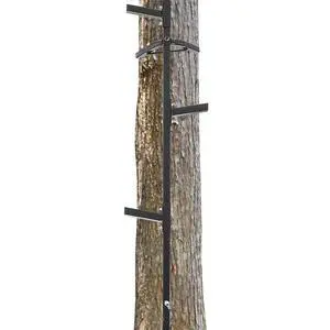 20 ft Climbing Stick Ladder for Tree Stands, Tree Ladder Outdoors | Slip Against, Double-Step Design, Hunting, Black 20 ft Climbing Stick Ladder for Tree Stands, Tree Ladder Outdoors | Slip Against, Double-Step Design, Hunting, Black