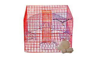 Florida XL Blue Crab Trap with 6" White Buoy Kit 18 x 24 x 24 Recreational Blue Crab Pot Four-Throat Saltwater Crab Trap Includes Buoy & 30' Rope PVC Coated Wire Fishing Trap Florida XL Blue Crab Trap with 6" White Buoy Kit 18 x 24 x 24 Recreational Blue Crab Pot Four-Throat Saltwater Crab Trap Includes Buoy & 30' Rope PVC Coated Wire Fishing Trap