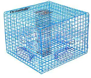 Florida XL Blue Crab Trap 18 x 24 x 24 Recreational Blue Crab Pot Four-Throat Saltwater Crab Trap Heavy Duty PVC Coated Wire Fishing Trap Florida XL Blue Crab Trap 18 x 24 x 24 Recreational Blue Crab Pot Four-Throat Saltwater Crab Trap Heavy Duty PVC Coated Wire Fishing Trap