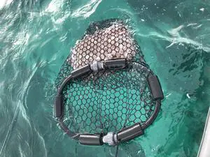The ChummyHoop - Collapsible Rubber Chum Bag The ChummyHoop - Collapsible Rubber Chum Bag