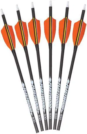 Arrows with Feathers 6 Pack Arrows with Feathers 6 Pack
