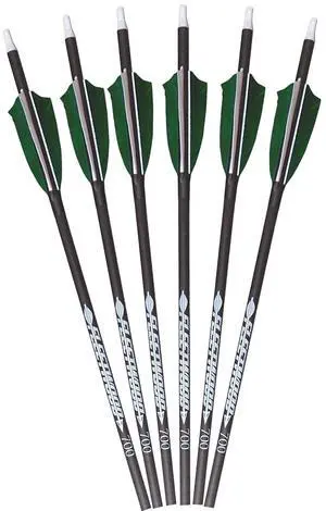 Arrows with Feathers 6 Pack Arrows with Feathers 6 Pack