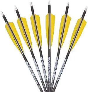 Arrows with Feathers 6 Pack Arrows with Feathers 6 Pack
