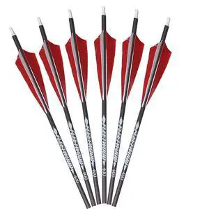 Arrows with Feathers 6 Pack Arrows with Feathers 6 Pack