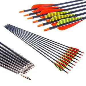 Traditional Archery 300 340 400 500 600 700 Spine 30 31 32 Inch Carbon Feather Arrows for Recurve Compound Bow Longbow Hunting Targets Arrow 12PCS Traditional Archery 300 340 400 500 600 700 Spine 30 31 32 Inch Carbon Feather Arrows for Recurve Compound Bow Longbow Hunting Targets Arrow 12PCS
