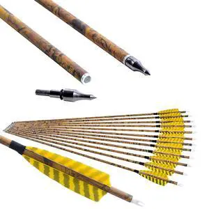 30 Archery Carbon Arrows Hunting Arrows with 4 Turkey Feather Removable Tips Targeting Practice Arrows 500 Spine for Compound & Recurve & Traditional Bow 6/12pcs 30 Archery Carbon Arrows Hunting Arrows with 4 Turkey Feather Removable Tips Targeting Practice Arrows 500 Spine for Compound & Recurve & Traditional Bow 6/12pcs