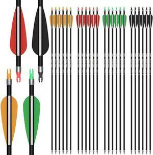 Archery 24PCS Compound Bow Arrows for Practice. 30" Carbon Shaft, Spine 500 with Removable Tips. 4 Colors Vane Fit for Indoor and Outdoor Archery Archery 24PCS Compound Bow Arrows for Practice. 30" Carbon Shaft, Spine 500 with Removable Tips. 4 Colors Vane Fit for Indoor and Outdoor Archery