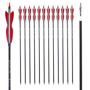 31" Carbon Hunting Arrows with 5" Turkey Feathers, Pack of 12 | Spine 500, Archery Target Practice, For Recurve Bow and Long Bow 31" Carbon Hunting Arrows with 5" Turkey Feathers, Pack of 12 | Spine 500, Archery Target Practice, For Recurve Bow and Long Bow