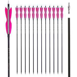 31" Carbon Hunting Arrows with 5" Turkey Feathers, Pack of 12 | Spine 500, Archery Target Practice, For Recurve Bow and Long Bow 31" Carbon Hunting Arrows with 5" Turkey Feathers, Pack of 12 | Spine 500, Archery Target Practice, For Recurve Bow and Long Bow