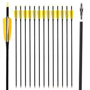 30" Carbon Arrows, Archery Target Practice Hunting Arrows,12 Pack | 4" Turkey Feather, Spine 500, for Recurve & Long Bow 30" Carbon Arrows, Archery Target Practice Hunting Arrows,12 Pack | 4" Turkey Feather, Spine 500, for Recurve & Long Bow