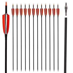 30" Carbon Arrows, Archery Target Practice Hunting Arrows,12 Pack | 4" Turkey Feather, Spine 500, for Recurve & Long Bow 30" Carbon Arrows, Archery Target Practice Hunting Arrows,12 Pack | 4" Turkey Feather, Spine 500, for Recurve & Long Bow