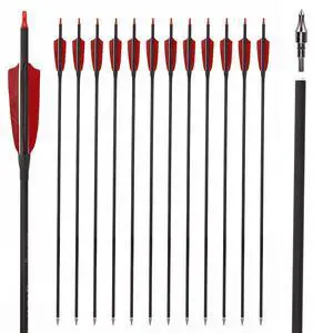 30" Carbon Arrows, Archery Target Practice Hunting Arrows,12 Pack | 4" Turkey Feather, Spine 500, for Recurve & Long Bow 30" Carbon Arrows, Archery Target Practice Hunting Arrows,12 Pack | 4" Turkey Feather, Spine 500, for Recurve & Long Bow