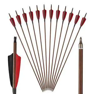 Premium 30" Carbon Hunting Arrows with 4" Real Turkey Feathers Fletching and Removable Tips - 500 Spine Practice Target Arrows for Recurve Bow Long Bow -12Pcs Premium 30" Carbon Hunting Arrows with 4" Real Turkey Feathers Fletching and Removable Tips - 500 Spine Practice Target Arrows for Recurve Bow Long Bow -12Pcs