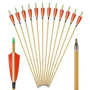 Premium 30" Carbon Hunting Arrows with 4" Real Turkey Feathers Fletching and Removable Tips - 500 Spine Practice Target Arrows for Recurve Bow Long Bow -12Pcs Premium 30" Carbon Hunting Arrows with 4" Real Turkey Feathers Fletching and Removable Tips - 500 Spine Practice Target Arrows for Recurve Bow Long Bow -12Pcs