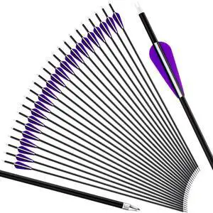 24 Pcs 31.5 Inch Arrows for Compound Bow Hunting Arrows Carbon Arrows with 3 Inch Plastic Arrow Feathers and Removable Tips 500-600 Spine Archery Target Arrows for Recurve Bow 24 Pcs 31.5 Inch Arrows for Compound Bow Hunting Arrows Carbon Arrows with 3 Inch Plastic Arrow Feathers and Removable Tips 500-600 Spine Archery Target Arrows for Recurve Bow