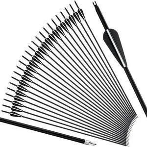 24 Pcs 31.5 Inch Arrows for Compound Bow Hunting Arrows Carbon Arrows with 3 Inch Plastic Arrow Feathers and Removable Tips 500-600 Spine Archery Target Arrows for Recurve Bow 24 Pcs 31.5 Inch Arrows for Compound Bow Hunting Arrows Carbon Arrows with 3 Inch Plastic Arrow Feathers and Removable Tips 500-600 Spine Archery Target Arrows for Recurve Bow