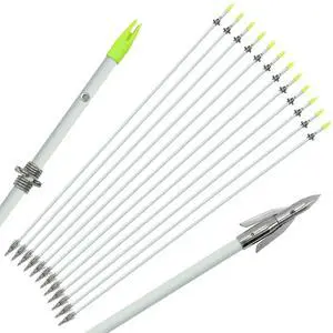 6 PCS/12PCS 36 Inch Bowfishing Arrows 8mm Fishing Arrow Fiberglass Arrow with Broadhead for Slingshot Archery Hunting Fishing 6 PCS/12PCS 36 Inch Bowfishing Arrows 8mm Fishing Arrow Fiberglass Arrow with Broadhead for Slingshot Archery Hunting Fishing
