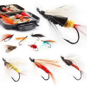 Fly Fishing Flies Assortment Kit Dry Wet Nyphms Tenkara Popper Streamer Woolly Bugger for Trout Bass Salmon Steelhead with Fly Box Fly Fishing Flies Assortment Kit Dry Wet Nyphms Tenkara Popper Streamer Woolly Bugger for Trout Bass Salmon Steelhead with Fly Box
