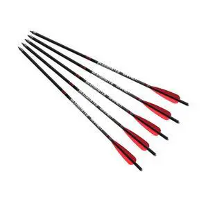 Headhunter Crossbow Arrows Different Pack Sizes, Standard Moon Nocks, Includes Field Points, Pre-Fletched for Crossbow Use Headhunter Crossbow Arrows Different Pack Sizes, Standard Moon Nocks, Includes Field Points, Pre-Fletched for Crossbow Use