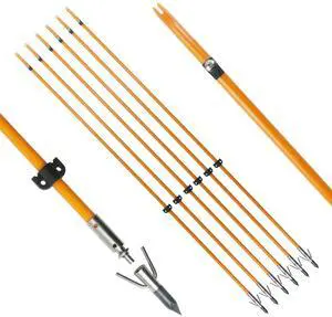 34inch Bowfishing Arrows Solid Fiberglass Shaft with Broadhead for Compound Bow and Recurve Bow Fishing Arrow Archery and Hunting (Pack of 6) 34inch Bowfishing Arrows Solid Fiberglass Shaft with Broadhead for Compound Bow and Recurve Bow Fishing Arrow Archery and Hunting (Pack of 6)