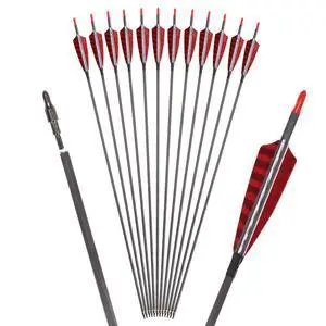 Pure Carbon Arrows 600 700 Spine 30 Inch Turkey Feather Fletching Screw in Field Points Targeting Hunting for Traditional Long Bow Recurve Bow Compound Bow Pure Carbon Arrows 600 700 Spine 30 Inch Turkey Feather Fletching Screw in Field Points Targeting Hunting for Traditional Long Bow Recurve Bow Compound Bow