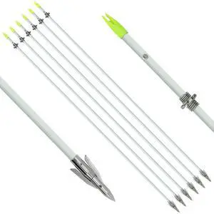 6 PCS/12PCS 36 Inch Bowfishing Arrows 8mm Fishing Arrow Fiberglass Arrow with Broadhead for Slingshot Archery Hunting Fishing 6 PCS/12PCS 36 Inch Bowfishing Arrows 8mm Fishing Arrow Fiberglass Arrow with Broadhead for Slingshot Archery Hunting Fishing