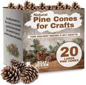 20 Large Natural Pine Cones for Crafts, 3" to 4" Tall Pine Cones Craft for Table, Home Decor, Vase Fillers, Desk & Christmas Trees, Unscented Pinecones Crafts Ornament for Decorating by Billy Buckskin 20 Large Natural Pine Cones for Crafts, 3" to 4" Tall Pine Cones Craft for Table, Home Decor, Vase Fillers, Desk & Christmas Trees, Unscented Pinecones Crafts Ornament for Decorating by Billy Buckskin