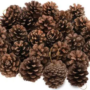 24 PCS Natural Pine Cones, 1.96 in Pinecone Ornaments, Rustic Pine Cones for Crafts, Winter Decorations for Home, Bulk Pines Cone with Gold String for Christmas Table Decor DIY Christmas Ornaments 24 PCS Natural Pine Cones, 1.96 in Pinecone Ornaments, Rustic Pine Cones for Crafts, Winter Decorations for Home, Bulk Pines Cone with Gold String for Christmas Table Decor DIY Christmas Ornaments