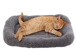 Cat Mat Bed 10" x 15" Pet Bed with Pillow Around for Puppy Kitten Curled Sleeping Beds for Carrier/Crate Small Dog Cushion, Anti Skid Bottom, Small Cat Mat Bed 10" x 15" Pet Bed with Pillow Around for Puppy Kitten Curled Sleeping Beds for Carrier/Crate Small Dog Cushion, Anti Skid Bottom, Small