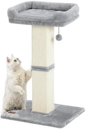 32" Cat Scratching Post for Indoor Cats, Sisal Cat Scratcher with Plush Perch, Large Scratch Post with Bed, Removable Cover, Sisal Fabric,Light Grey 32" Cat Scratching Post for Indoor Cats, Sisal Cat Scratcher with Plush Perch, Large Scratch Post with Bed, Removable Cover, Sisal Fabric,Light Grey