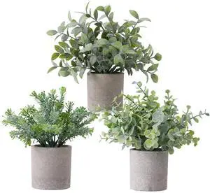3 Pack Small Potted Fake Plants Artificial Eucalyptus Realistic Bonsai Perfect for Home Office Desk Bookshelf Countertop Church Table Decor Boho Ornaments 3 Pack Small Potted Fake Plants Artificial Eucalyptus Realistic Bonsai Perfect for Home Office Desk Bookshelf Countertop Church Table Decor Boho Ornaments