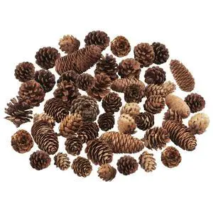40 PCS Rustic Pine Cone Decorations - Large, Medium and Mini Sizes for Table, Tree and Home Decor 40 PCS Rustic Pine Cone Decorations - Large, Medium and Mini Sizes for Table, Tree and Home Decor