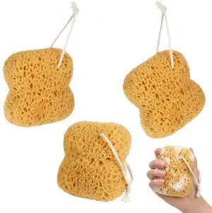 Sea Sponges for Shower, Natural Sea Sponges for Bathing, Gentle Exfoliation for Sensitive Skin, Portable Bath Accessories with Hanging Loops, Set of 3 Sponges 13.5x12.5cm Sea Sponges for Shower, Natural Sea Sponges for Bathing, Gentle Exfoliation for Sensitive Skin, Portable Bath Accessories with Hanging Loops, Set of 3 Sponges 13.5x12.5cm