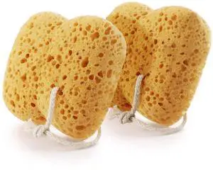 Body Sponges for Shower Bathing, 2-Pack Sponges Bath for Adults Body Sponges for Shower Bathing, 2-Pack Sponges Bath for Adults
