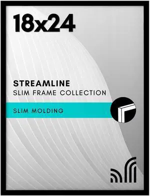 18x24 Poster Frame with Polished Plexiglass - Streamline Collection - Thin Border Picture Frame for Wall Display - Hanging Hardware Included - Black 18x24 Poster Frame with Polished Plexiglass - Streamline Collection - Thin Border Picture Frame for Wall Display - Hanging Hardware Included - Black