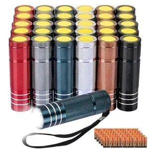 30-Pack Super Bright Mini Flashlight, 1W Aluminum Flashlights Bulk Set with Fluorescent Button AAA Batteries Included for Night Emergency Power Outage Party Hiking Backpacking Pocket Gift 30-Pack Super Bright Mini Flashlight, 1W Aluminum Flashlights Bulk Set with Fluorescent Button AAA Batteries Included for Night Emergency Power Outage Party Hiking Backpacking Pocket Gift