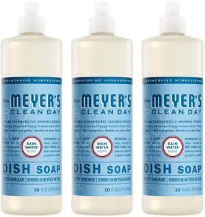 CLEAN DAY Liquid Dish Soap, Rain Water Scent, 16 Fl Oz Bottle - 3 Pack CLEAN DAY Liquid Dish Soap, Rain Water Scent, 16 Fl Oz Bottle - 3 Pack