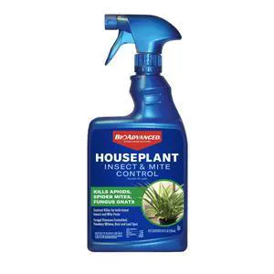 Houseplant Insect and Mite Control Spray - Insecticide, Fungicide & Miticide - Ready-to-Use - Houseplant Insect Control - 24 fl oz Bottle Houseplant Insect and Mite Control Spray - Insecticide, Fungicide & Miticide - Ready-to-Use - Houseplant Insect Control - 24 fl oz Bottle